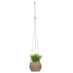 maxibazar Plante A Suspendre Naturel Zoe H.17Cm En Box- Compositions Florales