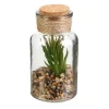 maxibazar Plante Artificielle Fiole Verre 13Cm- Compositions Florales