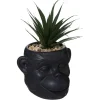 Atmosphera Plante Monkey Ceramique Noir Cuba H.20Cm- Fleurs Et Plantes