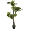 maxibazar Plante Schefflera H.130Cm- Arbres