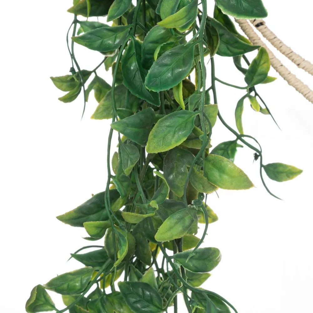 maxibazar Plante Suspension Metal Cosy D.60X39Cm- Fleurs Et Plantes