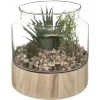 Atmosphera Plante Terrarium Bois H.17.5Cm- Compositions Florales
