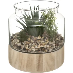 Atmosphera Plante Terrarium Bois H.17.5Cm- Compositions Florales