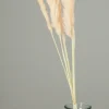 maxibazar Plumeau Pampa Naturel H.90Cm Rose X6 Pieces- Tiges