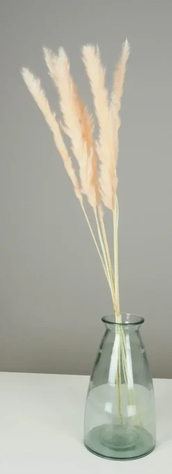 maxibazar Plumeau Pampa Naturel H.90Cm Rose X6 Pieces- Tiges