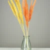maxibazar Plumeau Pampa Naturel H.90Cm Jaune Et Orange X6 Pieces- Tiges