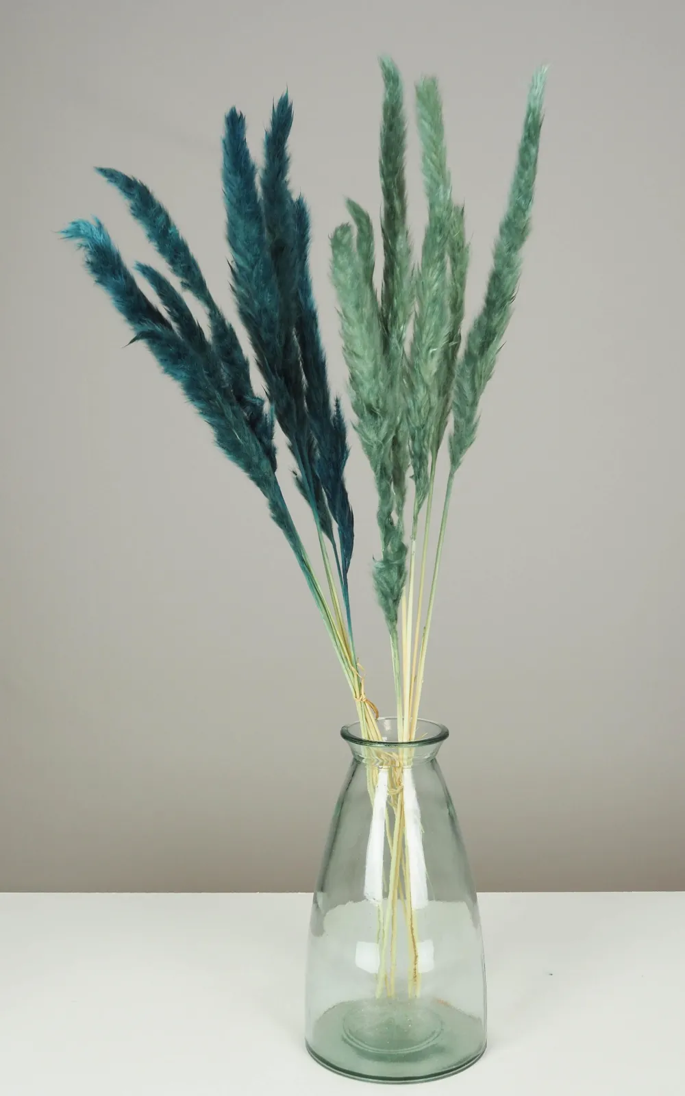 maxibazar Plumeau Pampa Naturel H.90Cm Bleu Et Vert X6 Pieces- Tiges