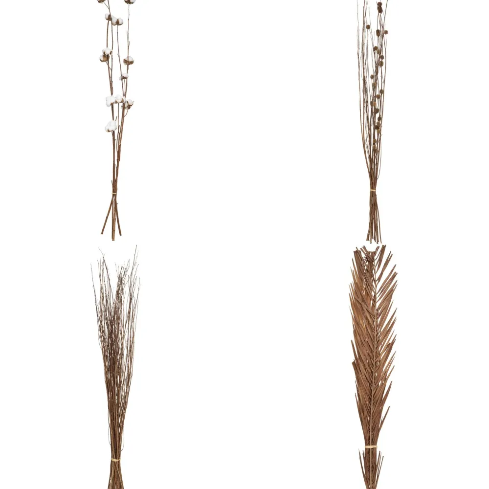 maxibazar Seche Naturel H.100Cm- Tiges