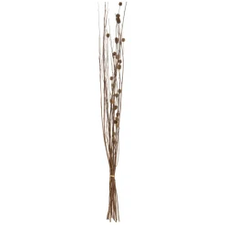 maxibazar Seche Naturel H.100Cm- Tiges