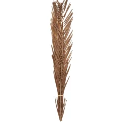 maxibazar Seche Naturel H.100Cm- Tiges