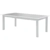 * Tables De Jardin>Table Allure Extensible Gris Blanc 12 Places