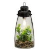 Atmosphera Terrarium Ampoule Plante H.31Cm- Compositions Florales