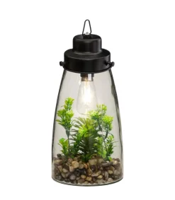 Atmosphera Terrarium Ampoule Plante H.31Cm- Compositions Florales