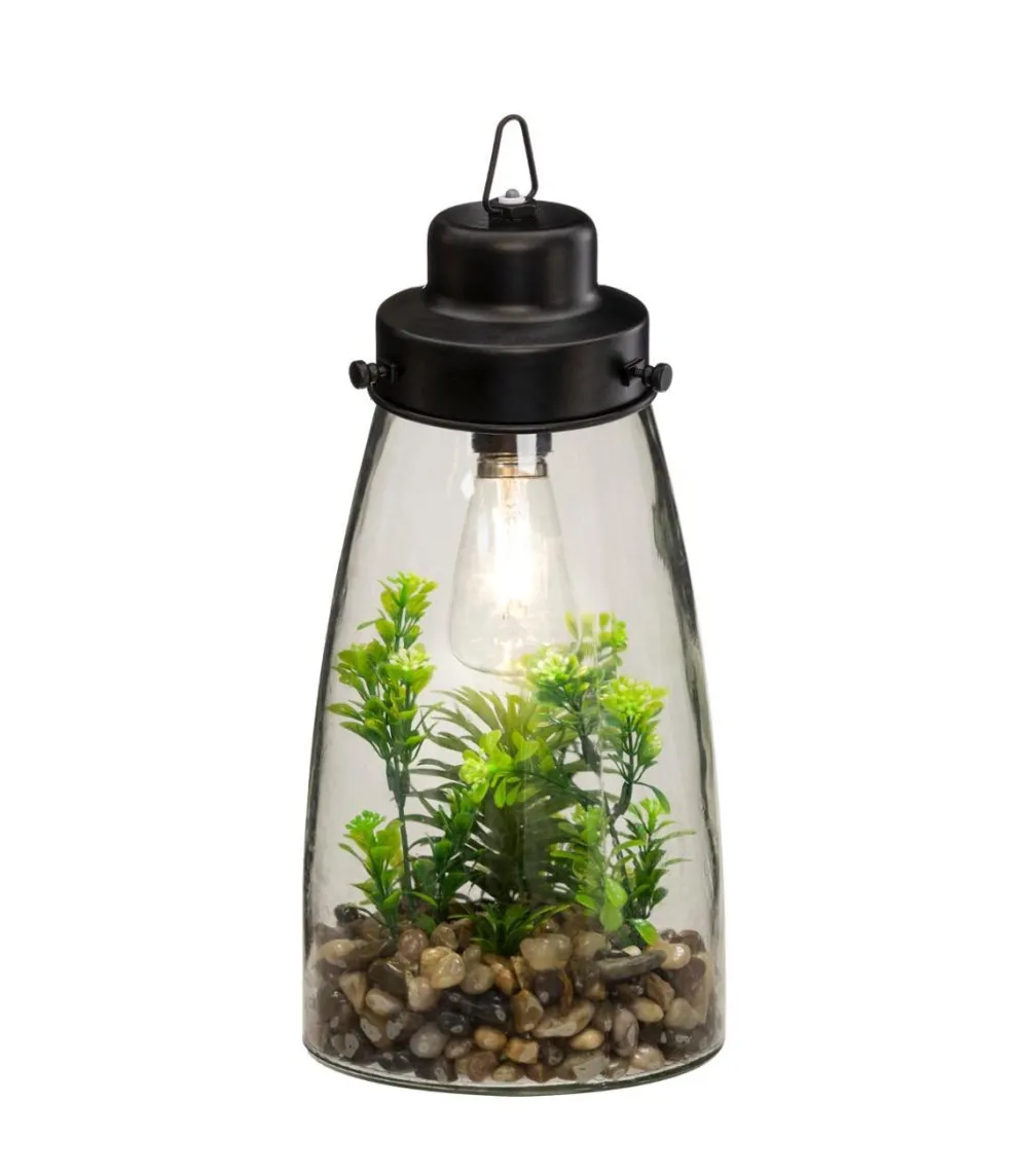 Atmosphera Terrarium Ampoule Plante H.31Cm- Compositions Florales