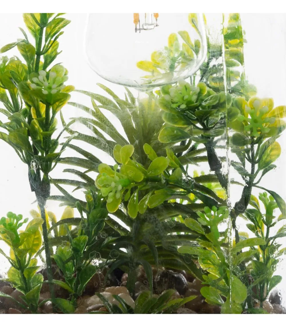 Atmosphera Terrarium Ampoule Plante H.31Cm- Compositions Florales