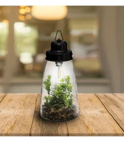 Atmosphera Terrarium Ampoule Plante H.31Cm- Compositions Florales