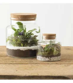 Atmosphera Terrarium H.21.5Cm- Caches-Pot Et Jarres