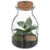 maxibazar Terrarium Verre Botanic H.19Cm- Compositions Florales