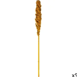 Atmosphera Tiges Sechees Naturel Ocre- Fleurs Et Plantes