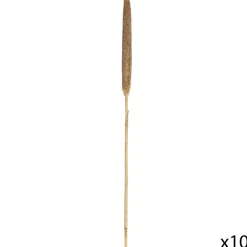 Atmosphera Tiges Sechees Naturel Ocre- Fleurs Et Plantes