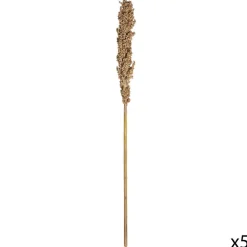 Atmosphera Tiges Sechees Naturel Ocre- Fleurs Et Plantes