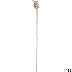 Atmosphera Tiges Sechees Naturel Ocre- Fleurs Et Plantes