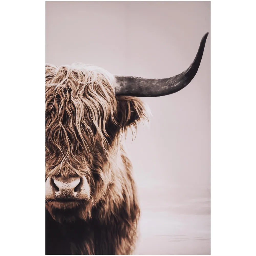 maxibazar Toile Imprimee Animaux D.75X115Cm- Toiles Et Tableaux