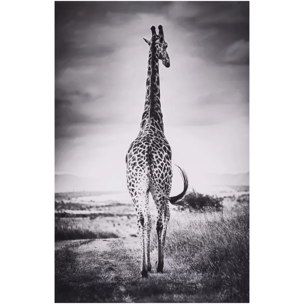 maxibazar Toile Imprimee Animaux D.75X115Cm- Toiles Et Tableaux