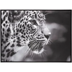 Atmosphera Toile Imprimee Leopard D.58X78Cm- Toiles Et Tableaux